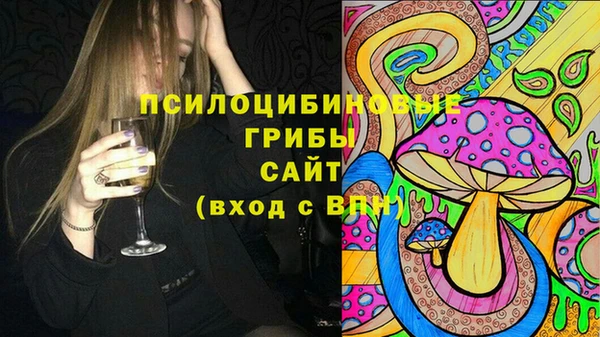 ешки Гусиноозёрск