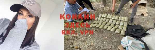 mdpv Магадан