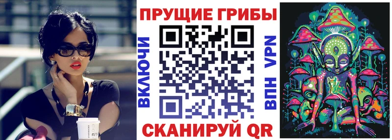 Галлюциногенные грибы мицелий  Дорогобуж 